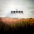 5Bugs