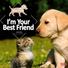 I'm Your Best Friend