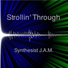 Synthesistjam