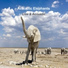 Acoustic Elephants