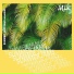 Mlc