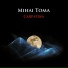 Mihai Toma