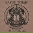 Kavus Torabi