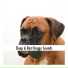 Chillout Dog Sleep