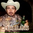 Luis Alanis
