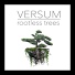 Versum