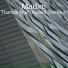 Thomas Muir (Autism The Muir)