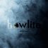 Howlite