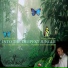 DJ Carlos del Moral