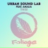 Urban Sound Lab feat. Amalia, Phil Asher