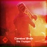 Carnival Brain