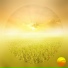 Sunlight Project