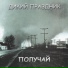 Дикий праздник