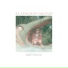 MRTVKNV