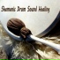 Healing Shamanic Drums