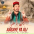 Shahzad Ali Qadri