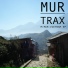 MrMUR