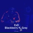 Ex D feat. Gray