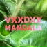VXXDXX