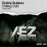 Dmitriy Bulakov