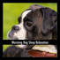 Dog Chill Out Music