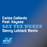 Carlos Gallardo feat. Bobby Alexander