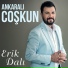 Ankaralı Coşkun