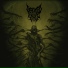 Defeated Sanity