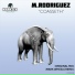 M. Rodriguez