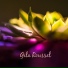 Gila Roussel