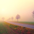 Relaxing Music Therapy, Relaxing Spa Music, Yoga