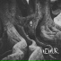 Teitur