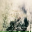 Carpathia