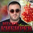 Игорь Кибирев [drivemusic.me]
