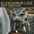 Aleksandr Life