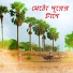 Partha Bhowmik