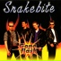 Snakebite