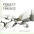 Perfect Bridge