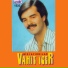 Vahit İçer