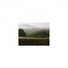 Mindfulness Healing Bgm Project