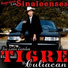 Jose Carlos Gastelum El Tigre De Culiacan