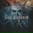 Soul Embraced