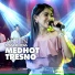 Astin Maulida