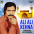 Singhar Ali Saleem