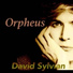 David Sylvian