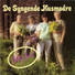 De Syngende Husmødre