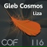 Gleb Cosmos