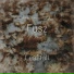 Fusz