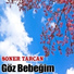 Soner Tarcan
