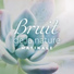 Oasis de Musique Nature Relaxante